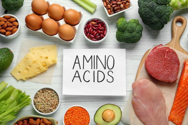 aminoacidos-essenciais